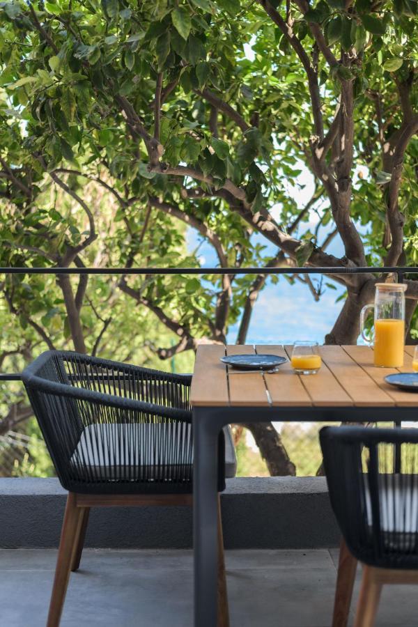 Proche Monaco, Vue Mer, Acces Plage Et Jardin Privatif Saint-Antoine  エクステリア 写真